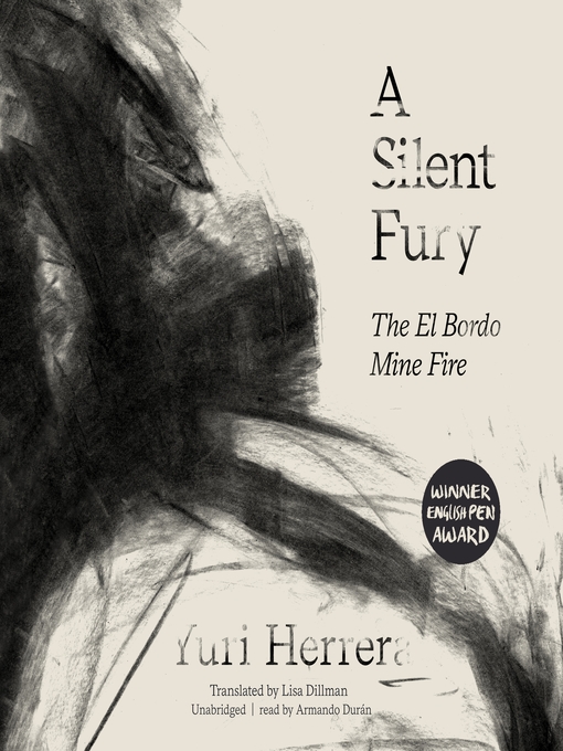 Cover image for A Silent Fury